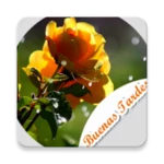 stickers de buenas tardes con flores android application logo